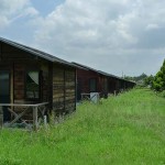 プラスファーム17