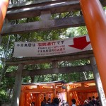 伏見稲荷41