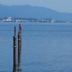 %e3%83%94%e3%82%a2%e3%82%b6%e6%b7%a1%e6%b5%b711