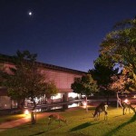 %e5%a5%88%e8%89%af%e5%85%ac%e5%9c%922016100606