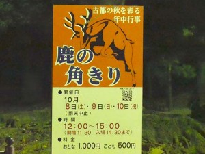 %e5%a5%88%e8%89%af%e5%85%ac%e5%9c%922016100616