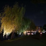 %e7%8c%bf%e6%b2%a2%e6%b1%a0%e5%9c%92%e5%9c%b06