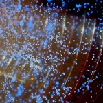 大阪市立科学館14