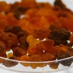 大阪市立科学館45